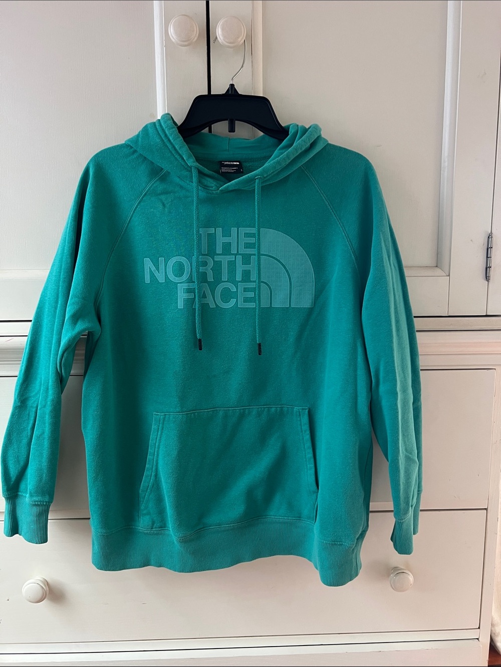 The North Face Aqua Pullover Hoodie